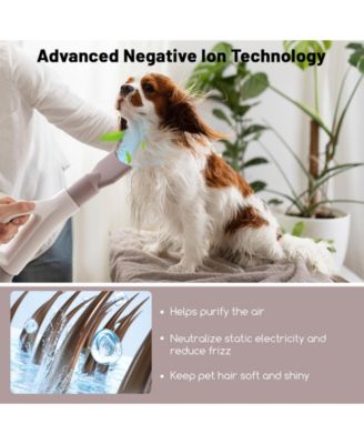 Dog Cat Hair Blower with Negative Ion Function and Adjustable Temperature