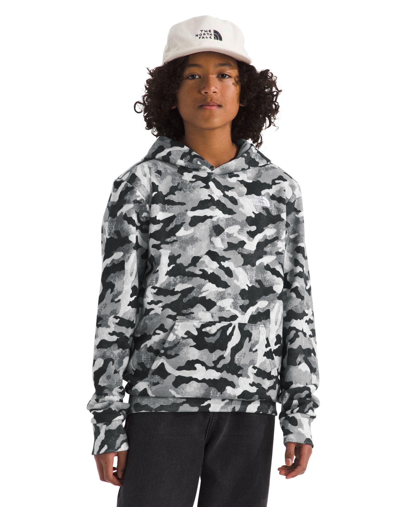 Детское худи The North Face Boys' and Girls' 6-20 Evolution Printed, цвет: Серый — фото 2