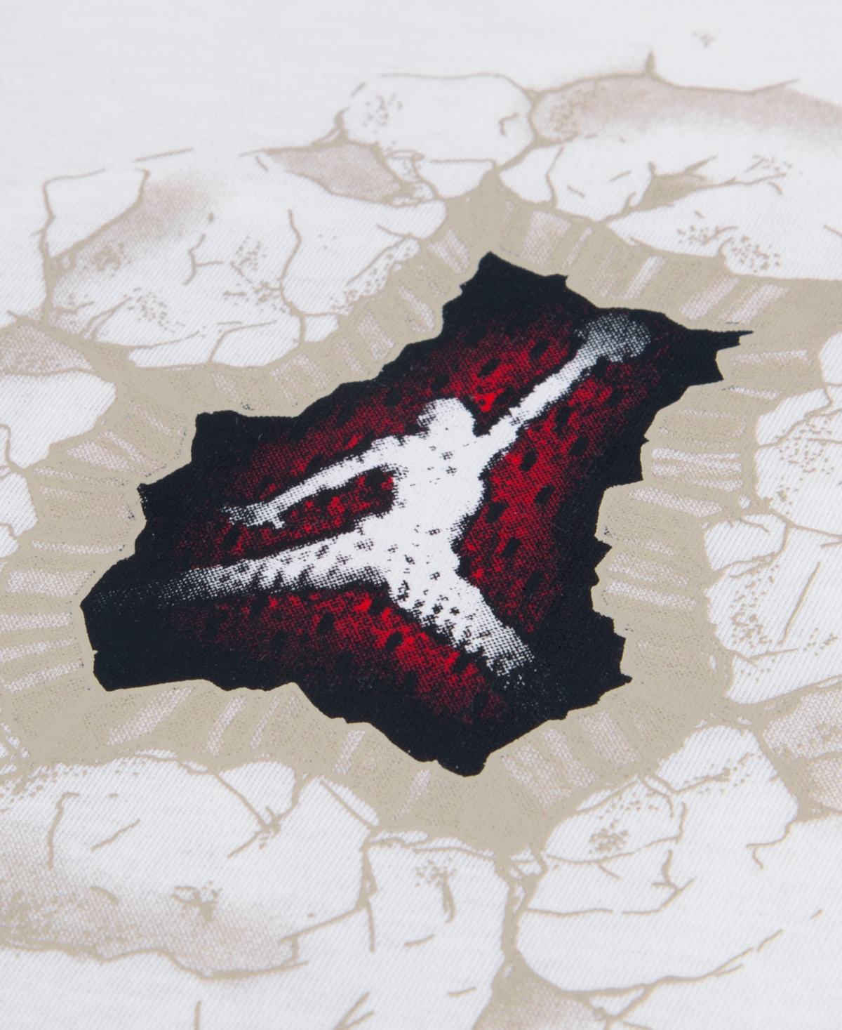 Jordan Boys 8-20 Graphic Print Crewneck T-Shirt