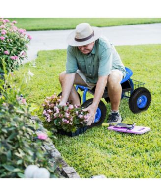 Garden Cart with Heavy Duty Tool Tray