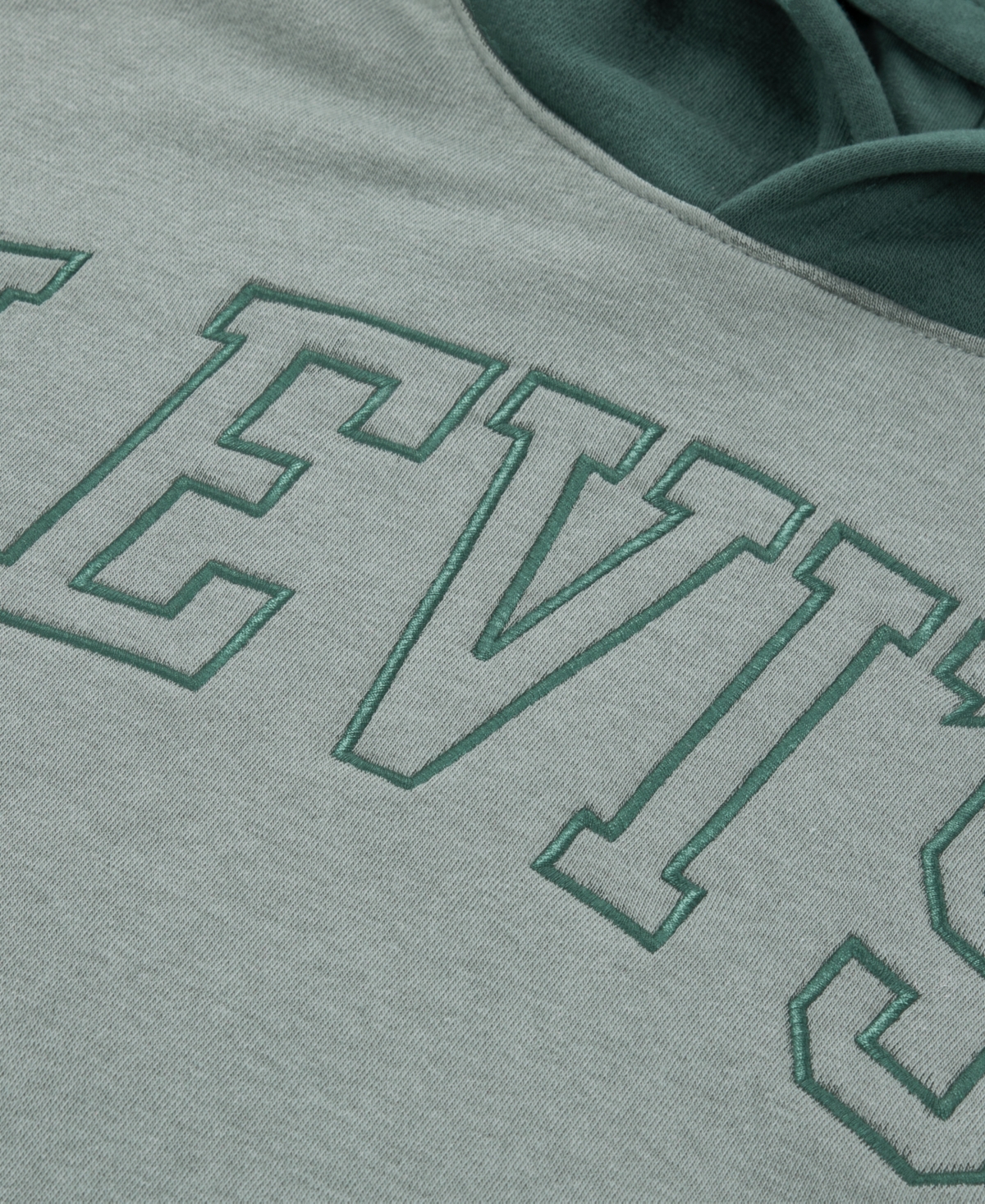 Levi's Boys 8-20 Classic Color Blocked Pull-on Hoodie In Green