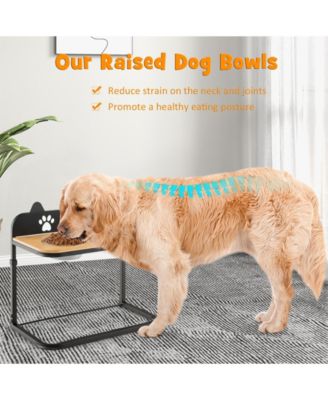 Dog Bowl Stand With 2 Stainless Steel Food Water Bowls