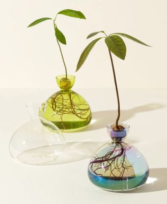Avocado Borosilicate Glass Vase