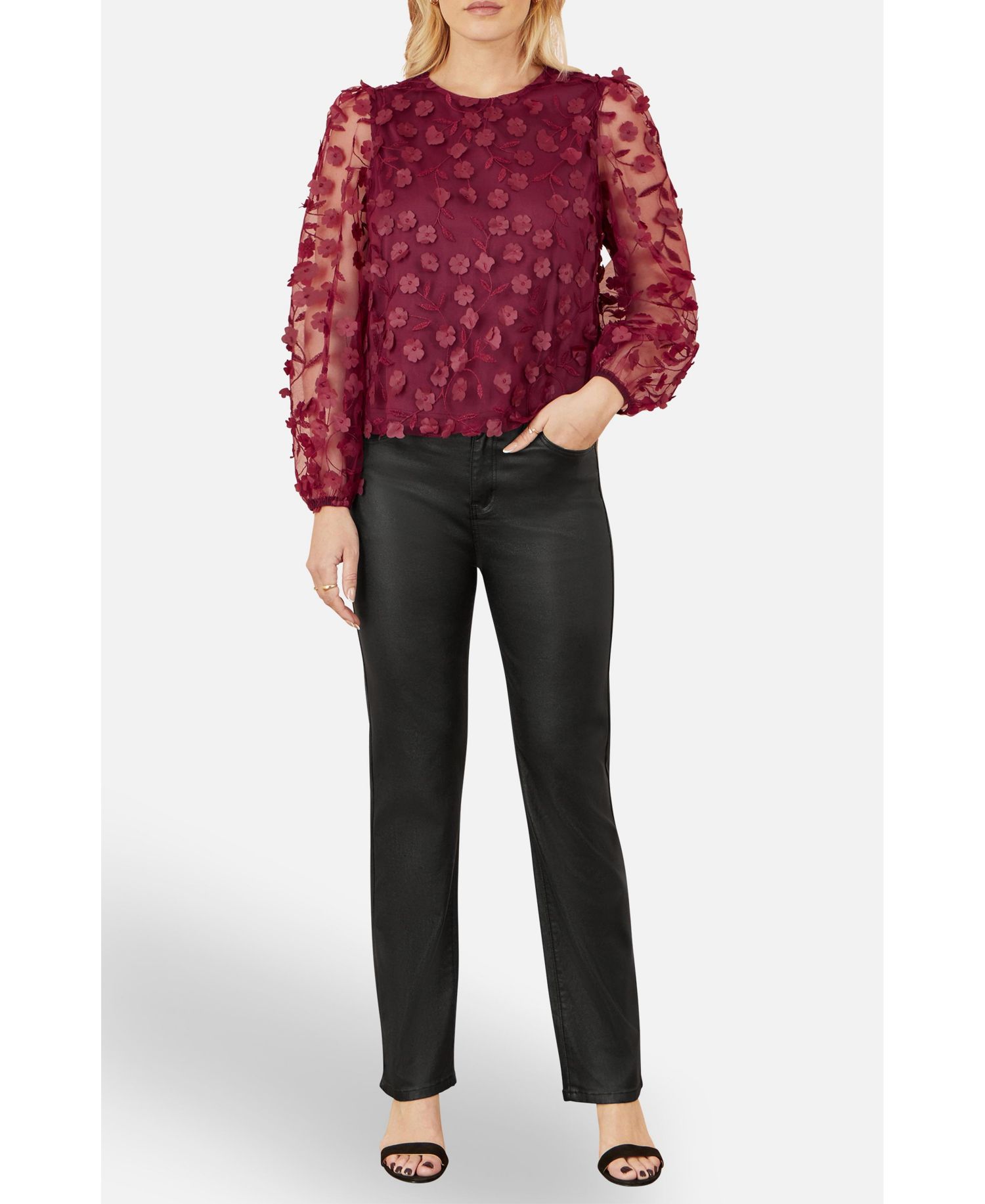 Women's Sheer Sleeve Applique Top