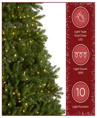 National Tree 10' Dunhill Fir Hinged Tree with 1200 Low Voltage Dual LED Lights with 9 Function Footswitch