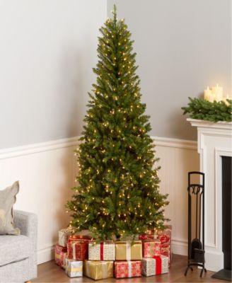 6.5' Dunhill Fir Slim Tree with 500 Clear Lights