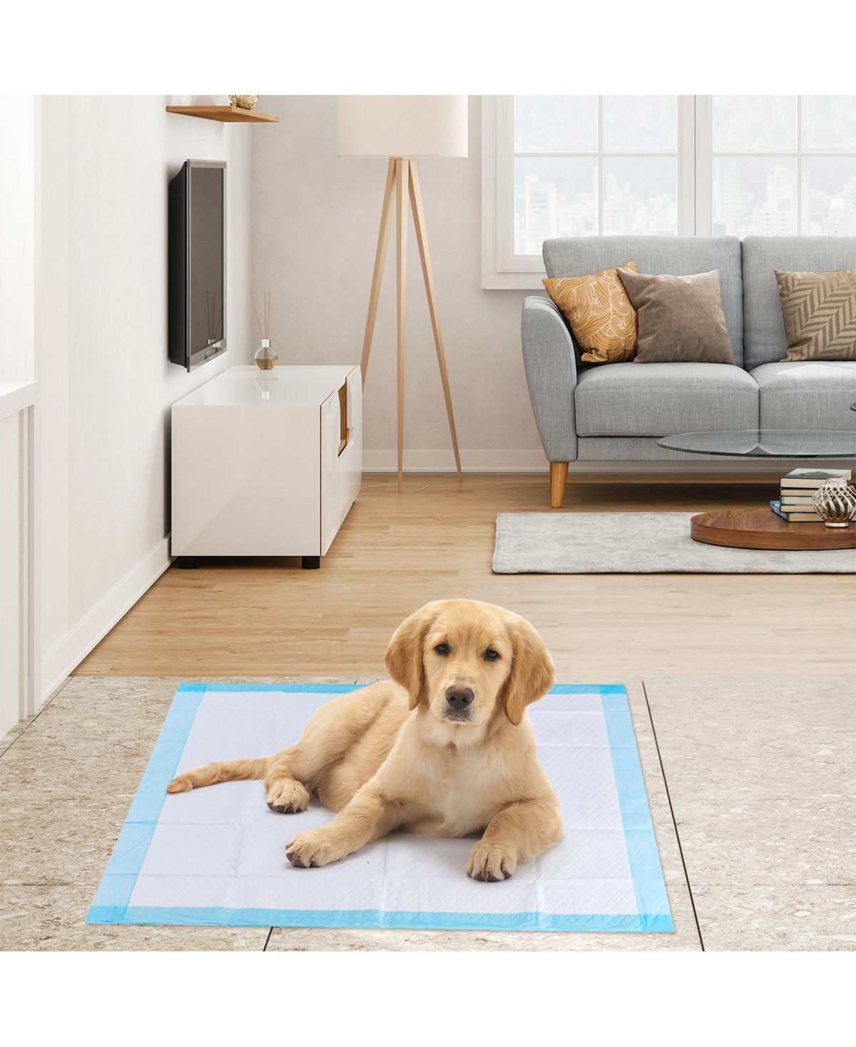 Sugift 150 pieces 30 x 30 Inch Pet Wee Piddle Pad