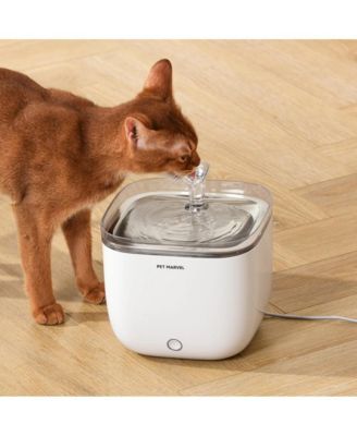 Automatic Cat Water Fountain Light Youth 2L/68oz