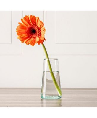 Champagne Glasses Clear - Set of 6