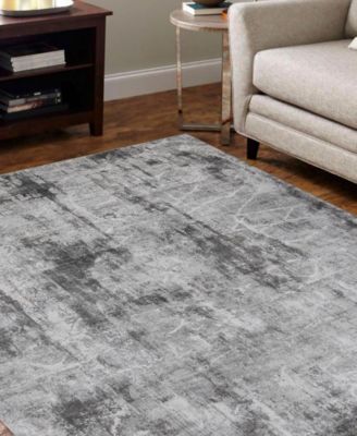 Alloy All342 4' x 6' Area Rug