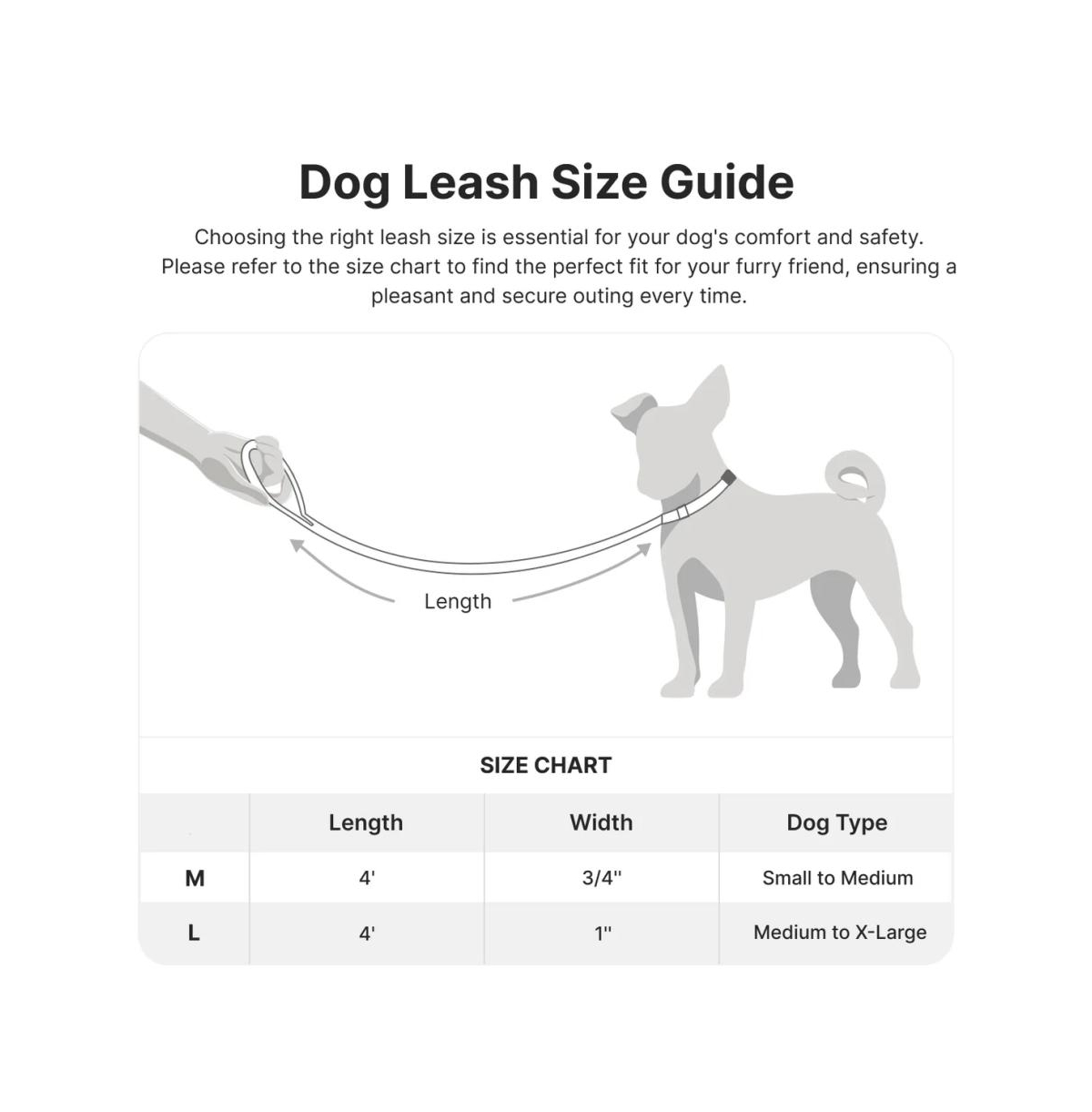 PetMarvel Adjustable 4 Ft Stylish Embroidered Dog Leash