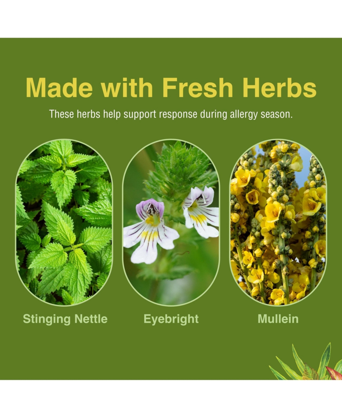 Trace Minerals Allergy ReLeaf System