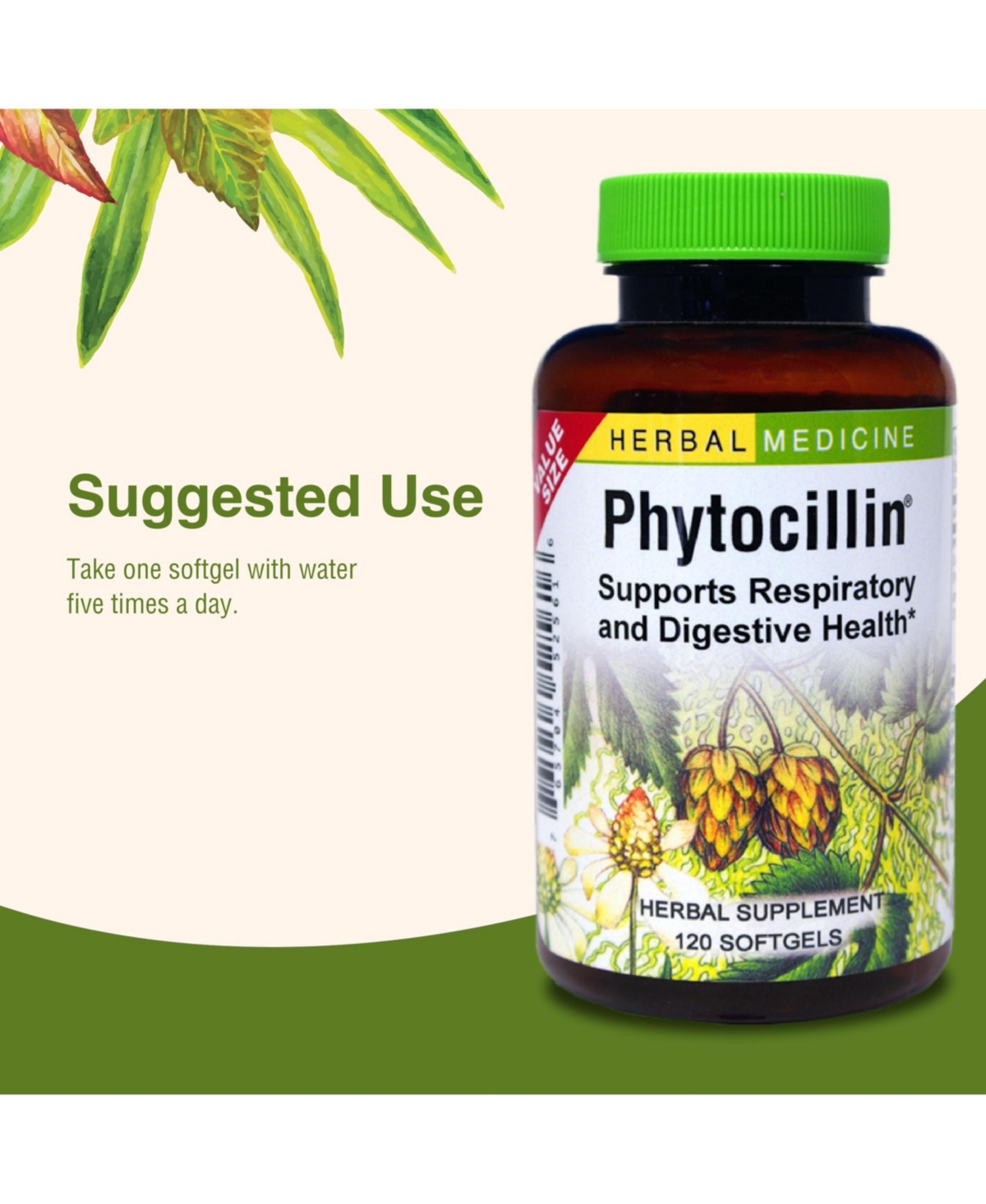 Trace Minerals Phytocillin: -Count Bottle of Softgels