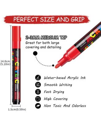 12 Colors Vibrant Acrylic Markers Set, 2mm-3mm Tip for Rocks, Craft, Ceramic Glass, Wood, Fabric and Canvas