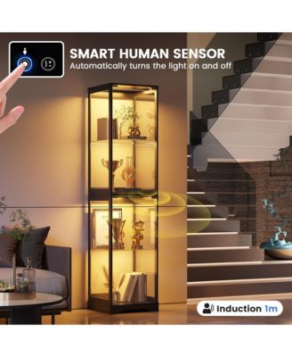 65" Glass Display Cabinet with Doors, Motion LED Light