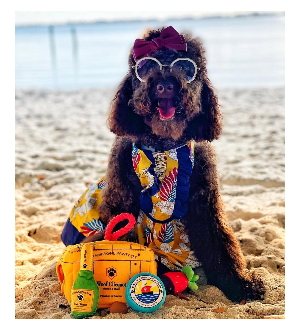 Parisian Pet Dress Tribal Leaves