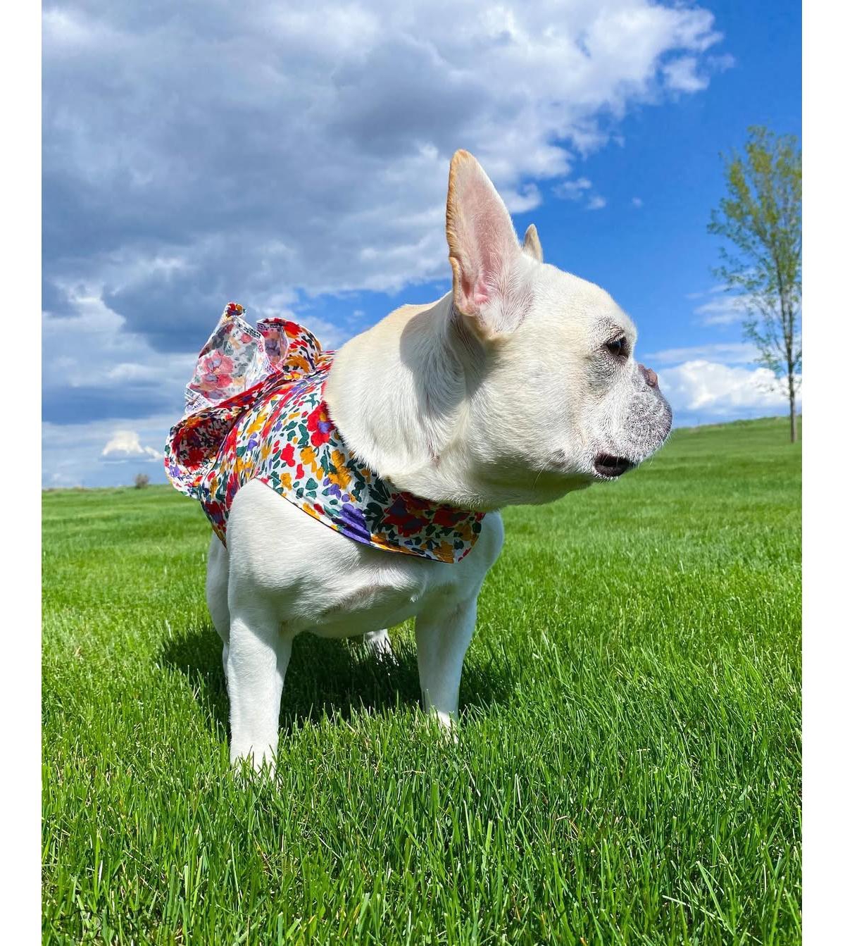 Parisian Pet Ruched Waist Floral Artsy Dress