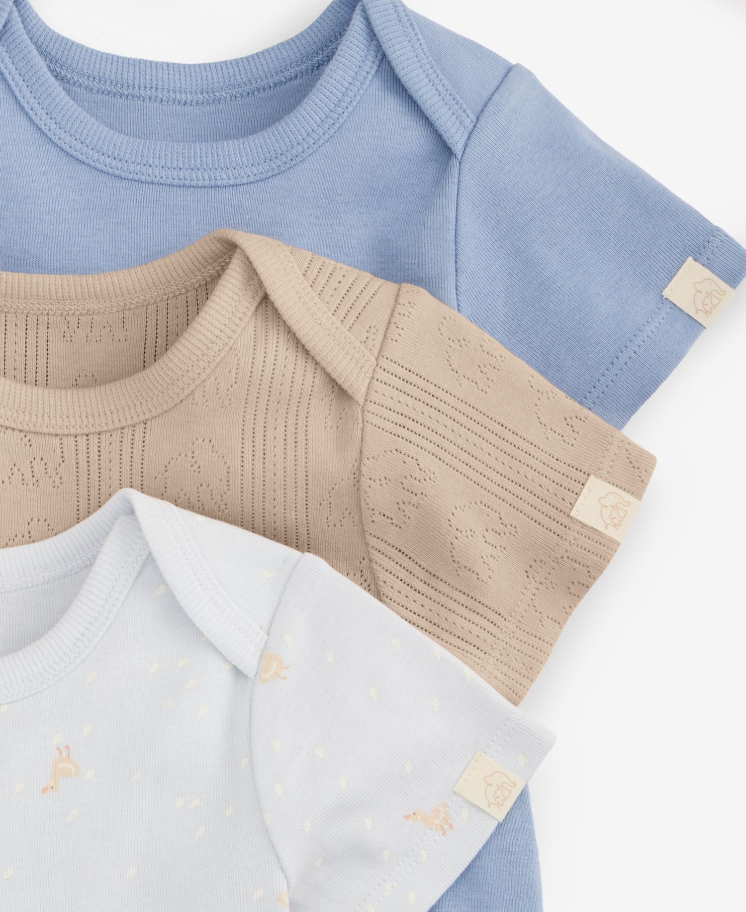 Everyday Baby Essentials Baby Boys' 3-Pack Cotton Bodysuits & Bib Set