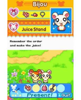 Hi! Hamtaro: Ham-Ham Challenge - Nintendo DS