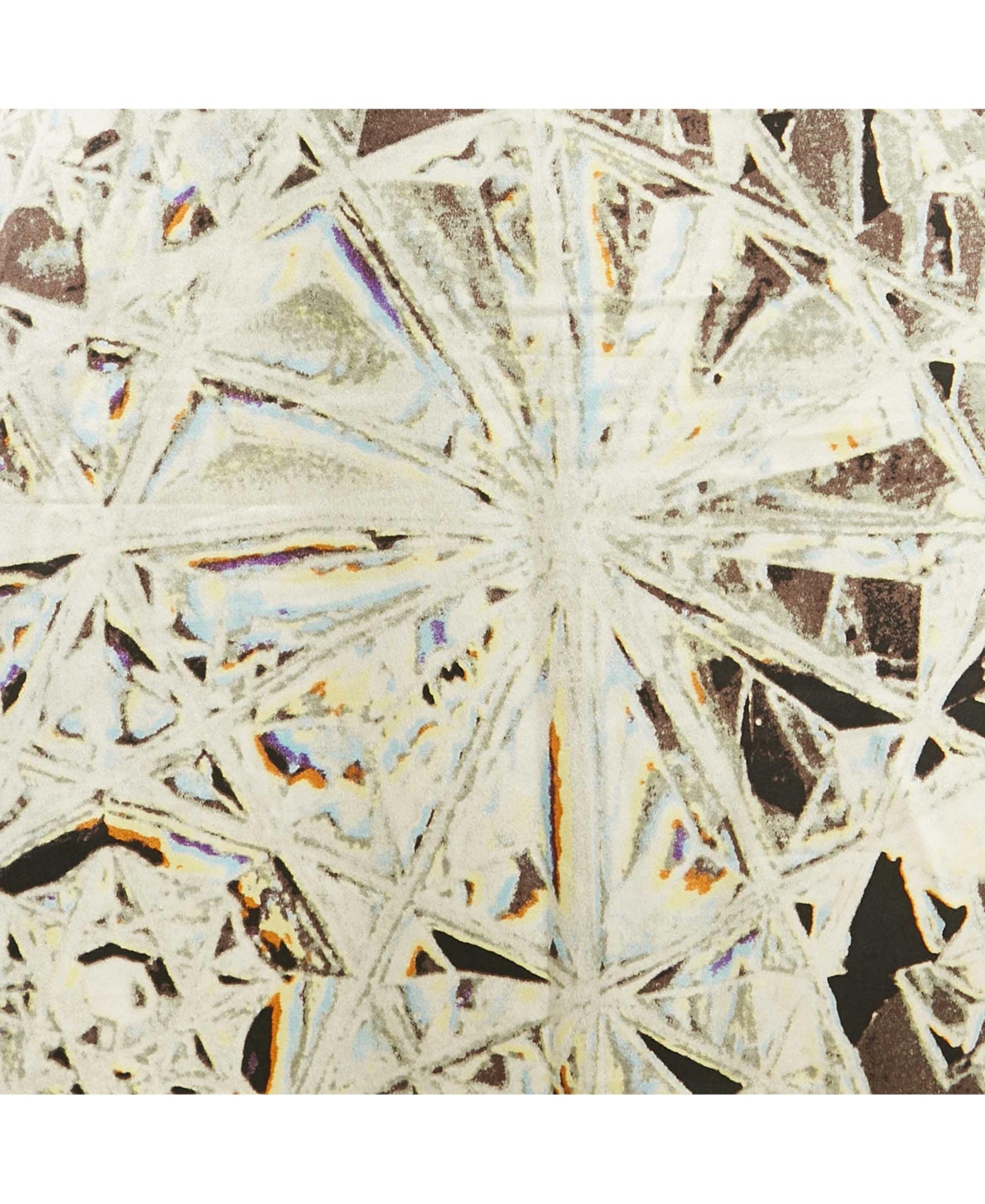 Pre-Owned Roberto Cavalli Women's Multicolor Printed Silk Maxi Skirt