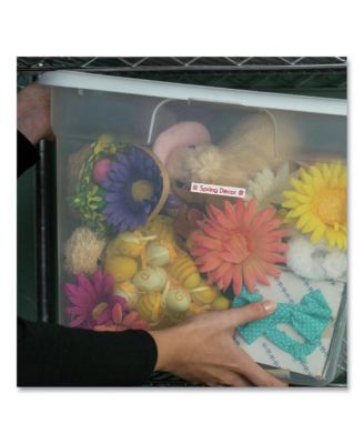 TZE232 0.47 in. x 26.2 ft. TZe Standard Adhesive Laminated Labeling Tape - Red on White