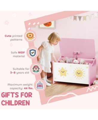 Toy Box for Kids, Toy Chest with Lid, Safety Hinges, Handles,