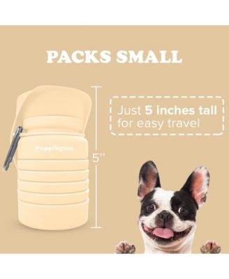 Collapsible Dog Water Bottle