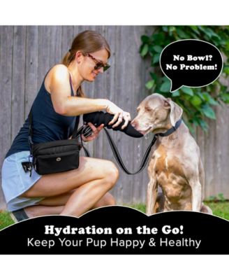 Collapsible Dog Water Bottle