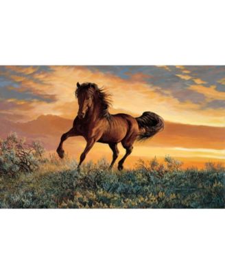 Mustang Sky 1000 piece Jigsaw Puzzle for Adults