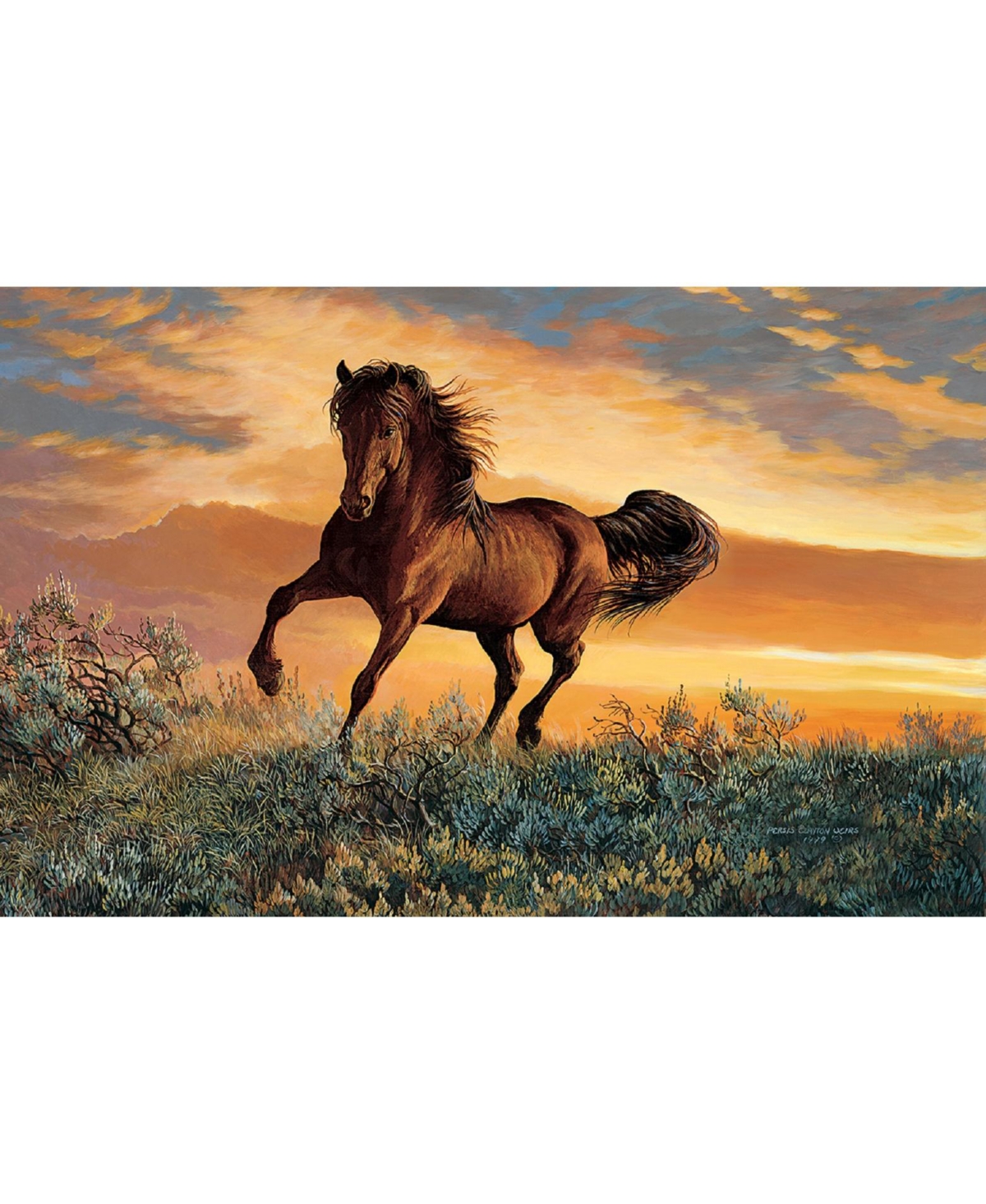 SunsOut Mustang Sky 1000 piece Jigsaw Puzzle for Adults