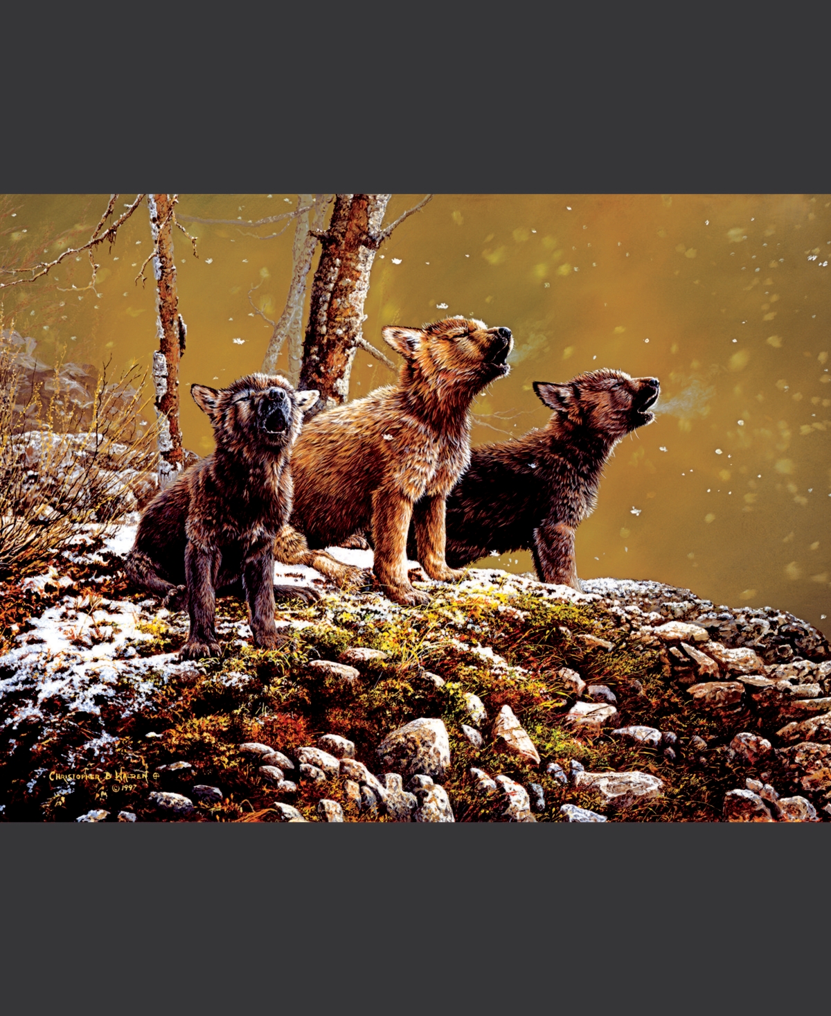 SunsOut Nature's Song 500 piece Jigsaw Puzzle for Adults