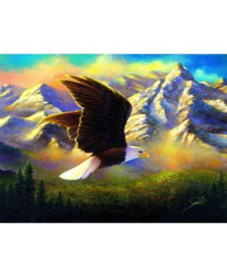 Flying High 1000 piece Jigsaw Puzzle for Adults