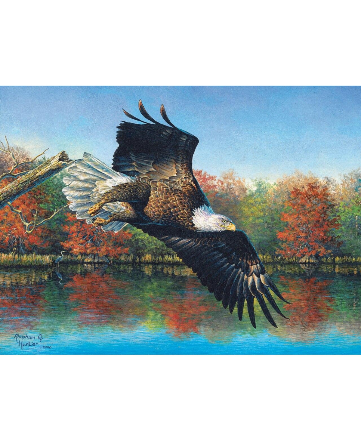 SunsOut Wetlands Eagle 1000 piece Jigsaw Puzzle for Adults