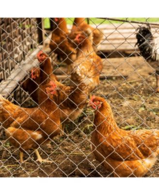 Farm Fence 5.6ft x 57ft Galvanized Field Wire