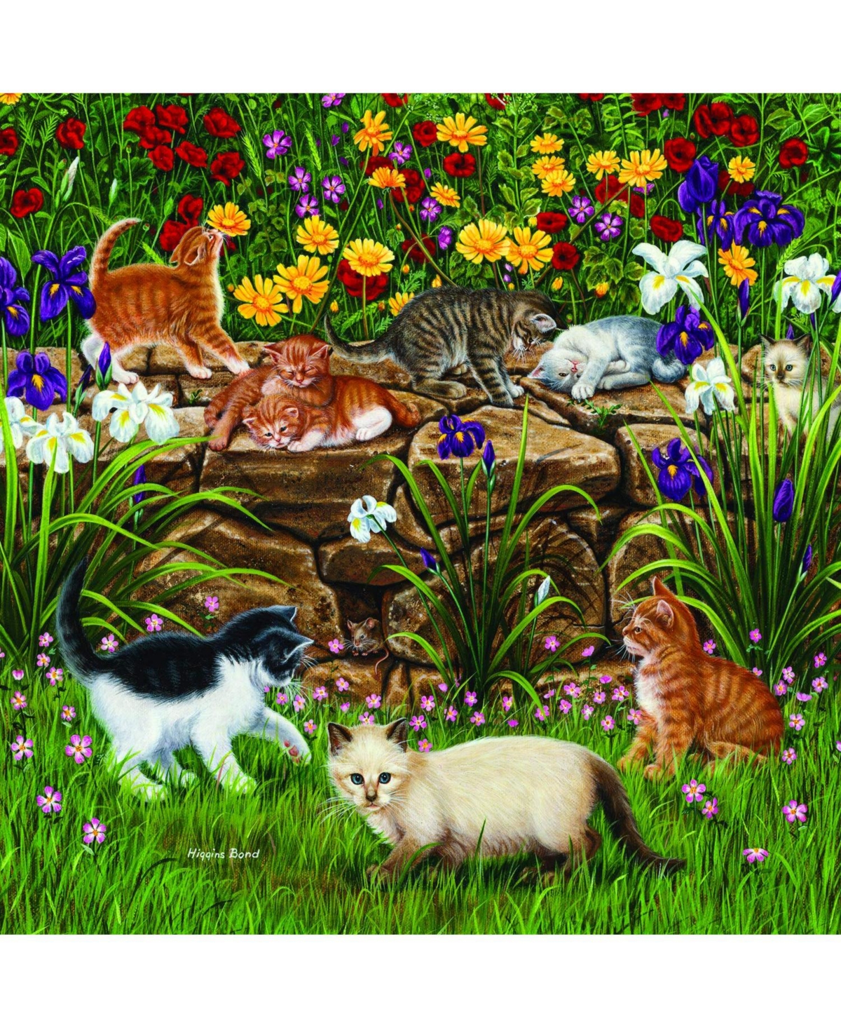 SunsOut Wall Flowers 500 piece Jigsaw Puzzle for Adults