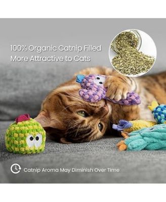 5 Pack Cactus Catnip Toys, 100% Organic Catnip Toys for Indoor Cats, Interactive Plush Chew Fun Without Cotton,