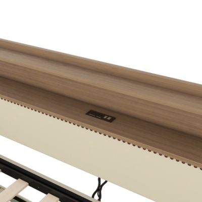 Twin Daybed with Trundle, Charging Station, and LED Lights