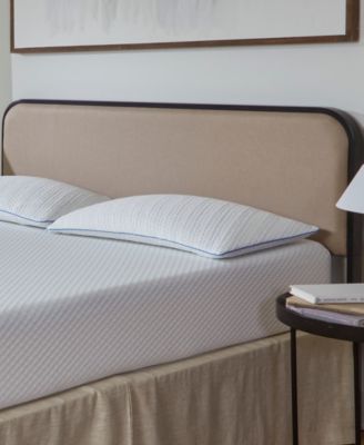 Foam Density Pillow in Soft/Medium, Standard