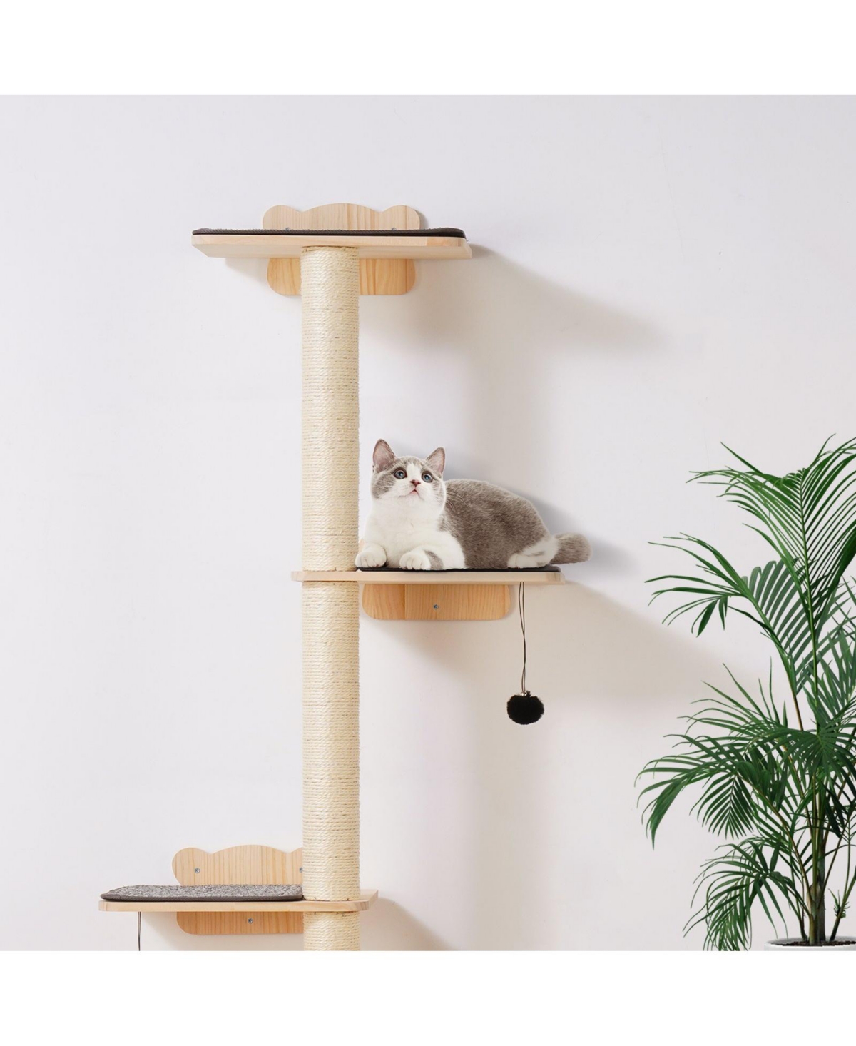 Cozito 4-Piece Wall-Mounted Pine Wood Cat Shelf Set, Holds up to 40 lbs
