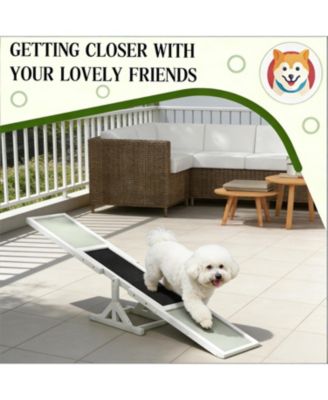 Wooden Dog  Agility Seesaw for Outdoor in White and Gray