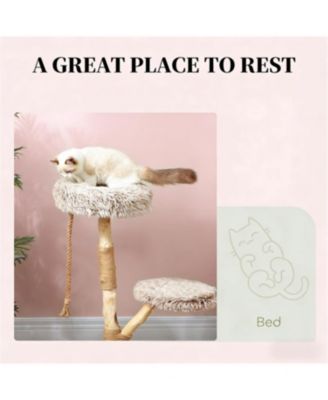 35.4'' Cat Tree with Wooden Scratching Posts in Natural Wood