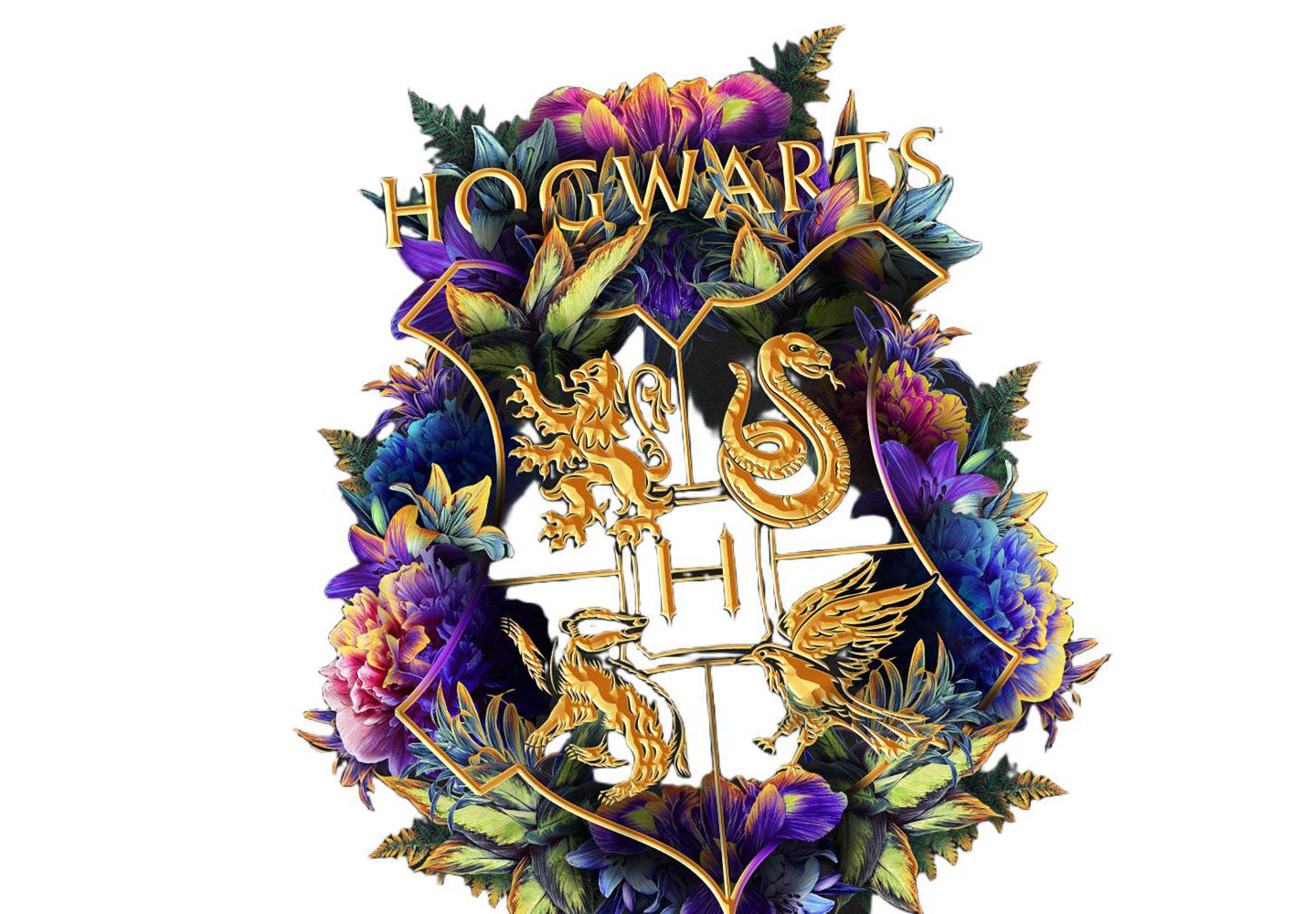 Мужская футболка Harry Potter Hogwarts Colorful Floral Crest, цвет: Чёрный — фото 2