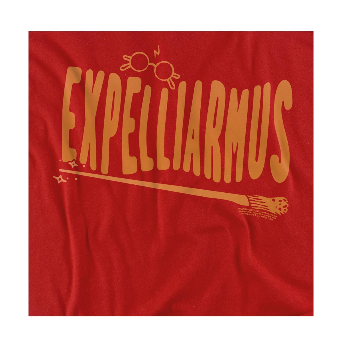 Harry Potter Men's The Hogwarts School T Shirt