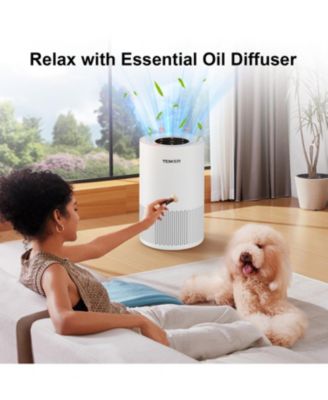 ZACHVO Air Purifiers for rooms to 1200ft²,with Fragrance Sponge, Timer, Air Filter Cleaner for Smoke, Odor, Dander