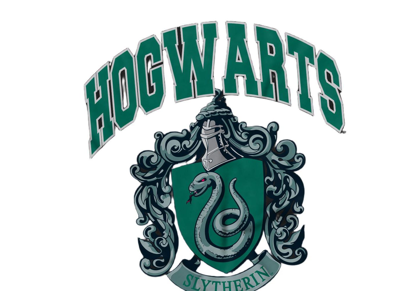Мужская футболка Harry Potter Hogwarts Slytherin, цвет: Чёрный — фото 3