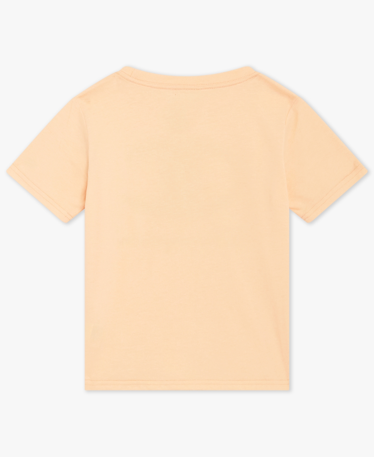 Champion Boys' 4-7 Crewneck T-Shirt and Cargo Shorts, 2-Piece Set