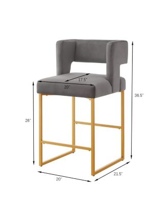 Modern Fashion Counter Height Bar Stools, Set of 2