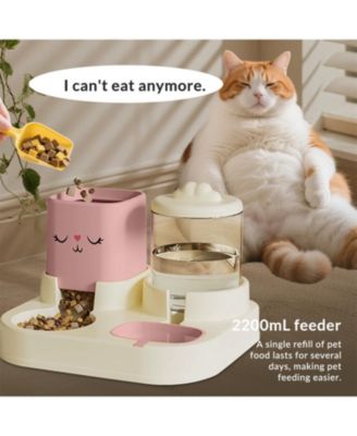 Large Capacity Automatic Pet Feeder and Waterer, 2200ML Water &1800ML Food, Smart Timer