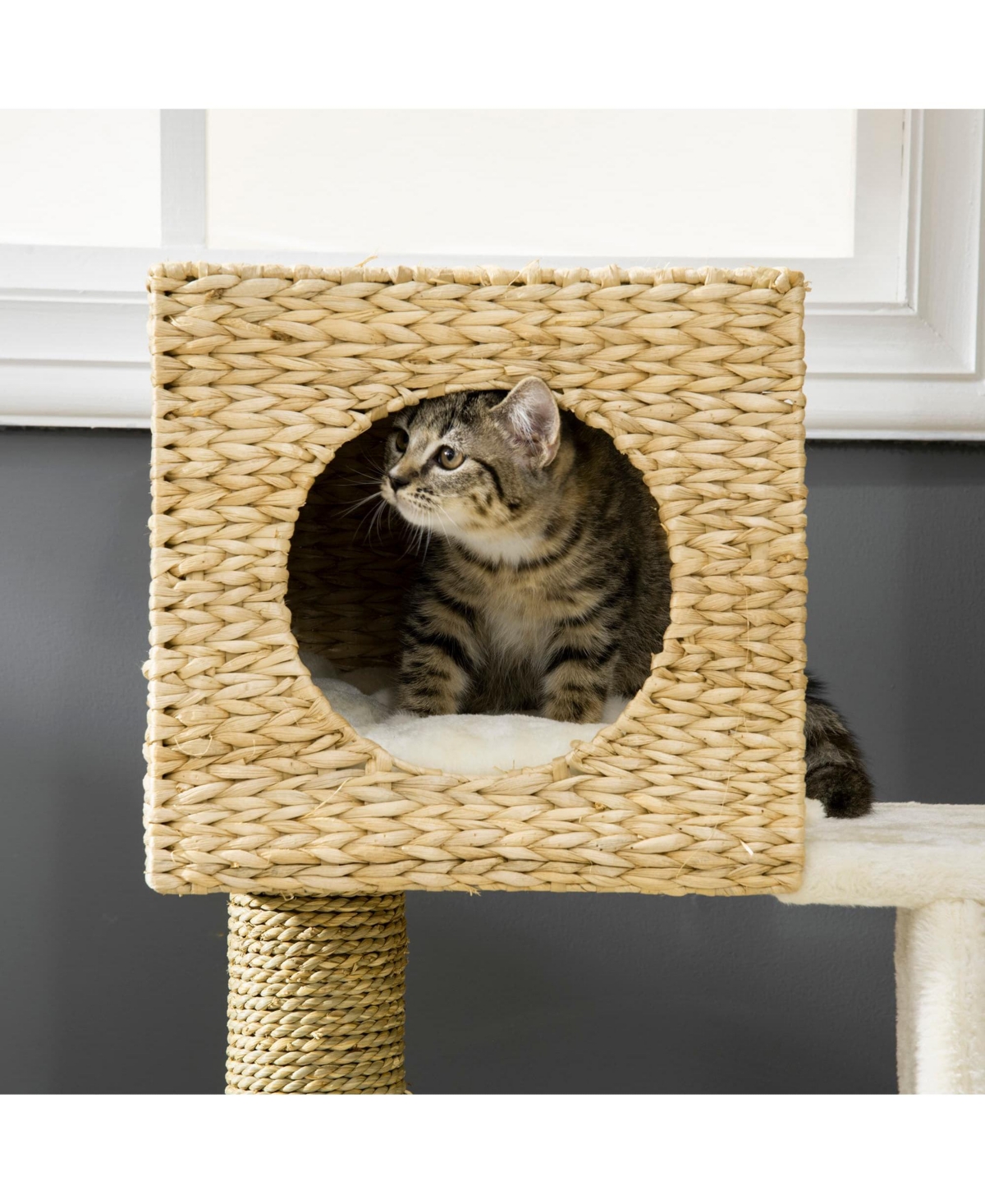 Zeus & Ruta Cat Tree Cattail Weave Cat Tree for Indoor Cats Tower