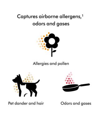 HushJet Purifier Compact air purifier